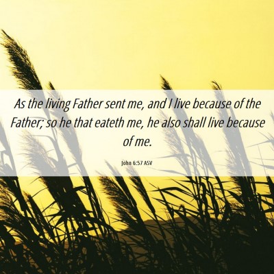 Picture 06 - John 6:57 ASV - As the living Father sent me, and I live because - Bible Verse Picture