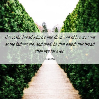 Picture 06 - John 6:58 ASV - This is the bread which came down out of heaven: - Bible Verse Picture