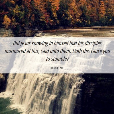 Picture 06 - John 6:61 ASV - But Jesus knowing in himself that his disciples - Bible Verse Picture