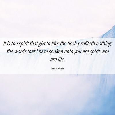 Picture 06 - John 6:63 ASV - It is the spirit that giveth life; the flesh - Bible Verse Picture