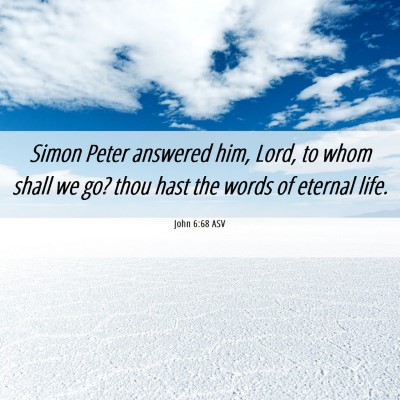 Picture 06 - John 6:68 ASV - Simon Peter answered him, Lord, to whom shall we - Bible Verse Picture