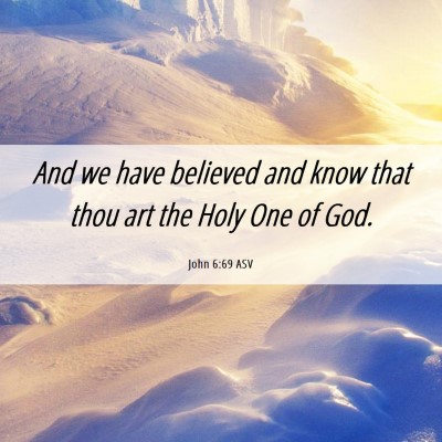 Picture 06 - John 6:69 ASV - And we have believed and know that thou art the - Bible Verse Picture