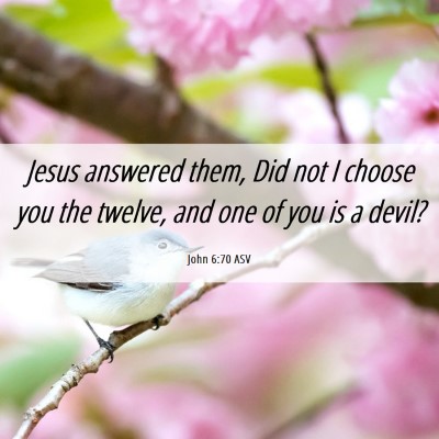 Picture 06 - John 6:70 ASV - Jesus answered them, Did not I choose you the - Bible Verse Picture