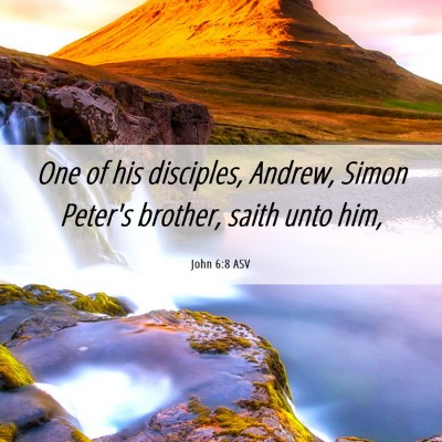 Picture 06 - John 6:8 ASV - One of his disciples, Andrew, Simon Peter's - Bible Verse Picture