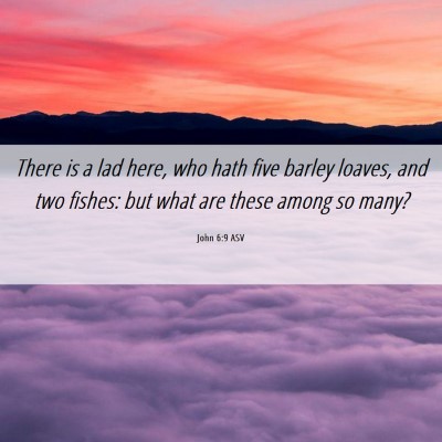 Picture 06 - John 6:9 ASV - There is a lad here, who hath five barley loaves, - Bible Verse Picture