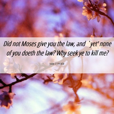 Picture 06 - John 7:19 ASV - Did not Moses give you the law, and `yet' none of - Bible Verse Picture