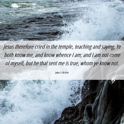 Picture 06 - John 7:28 ASV - Jesus therefore cried in the temple, teaching and - Bible Verse Picture