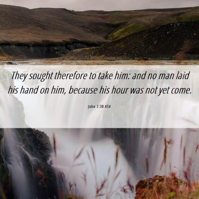 Picture 06 - John 7:30 ASV - They sought therefore to take him: and no man - Bible Verse Picture
