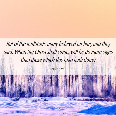 Picture 06 - John 7:31 ASV - But of the multitude many believed on him; and - Bible Verse Picture