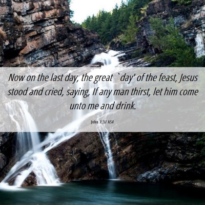 Picture 06 - John 7:37 ASV - Now on the last day, the great `day' of the - Bible Verse Picture