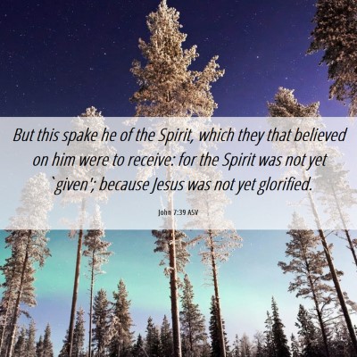 Picture 06 - John 7:39 ASV - But this spake he of the Spirit, which they that - Bible Verse Picture