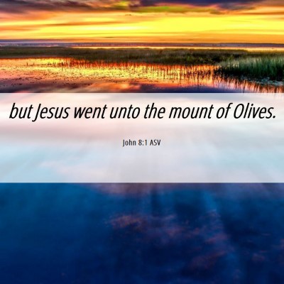 Picture 06 - John 8:1 ASV - but Jesus went unto the mount of - Bible Verse Picture