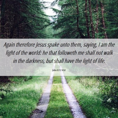 Picture 06 - John 8:12 ASV - Again therefore Jesus spake unto them, saying, I - Bible Verse Picture