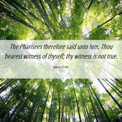 Picture 06 - John 8:13 ASV - The Pharisees therefore said unto him, Thou - Bible Verse Picture