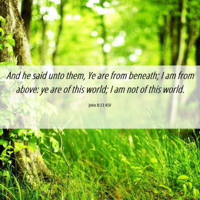 Picture 06 - John 8:23 ASV - And he said unto them, Ye are from beneath; I am - Bible Verse Picture