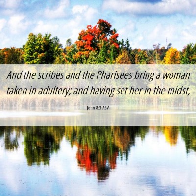 Picture 06 - John 8:3 ASV - And the scribes and the Pharisees bring a woman - Bible Verse Picture