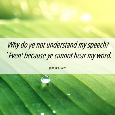 Picture 06 - John 8:43 ASV - Why do ye not understand my speech? `Even' - Bible Verse Picture