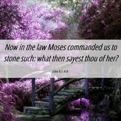 Picture 06 - John 8:5 ASV - Now in the law Moses commanded us to stone such: - Bible Verse Picture