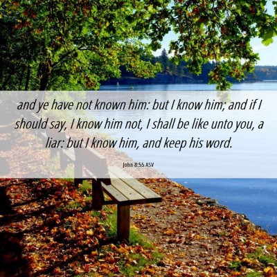 Picture 06 - John 8:55 ASV - and ye have not known him: but I know him; and if - Bible Verse Picture