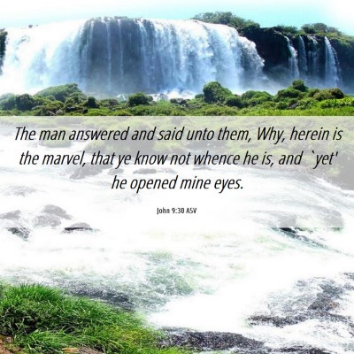 Picture 06 - John 9:30 ASV - The man answered and said unto them, Why, herein - Bible Verse Picture