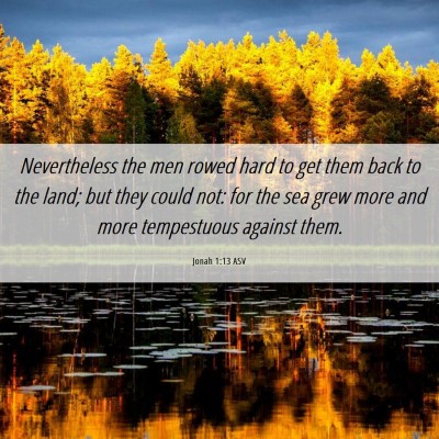 Picture 06 - Jonah 1:13 ASV - Nevertheless the men rowed hard to get them back - Bible Verse Picture