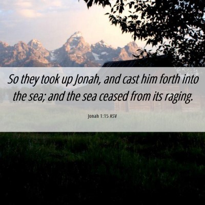 Picture 06 - Jonah 1:15 ASV - So they took up Jonah, and cast him forth into - Bible Verse Picture