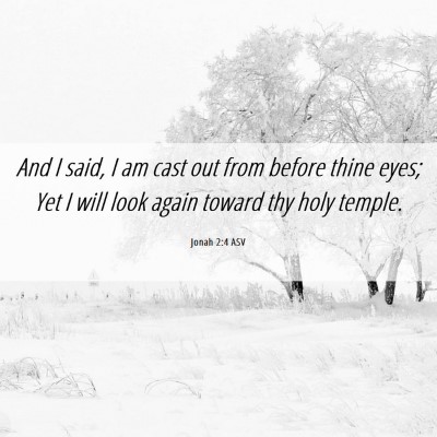 Picture 06 - Jonah 2:4 ASV - And I said, I am cast out from before thine eyes; - Bible Verse Picture