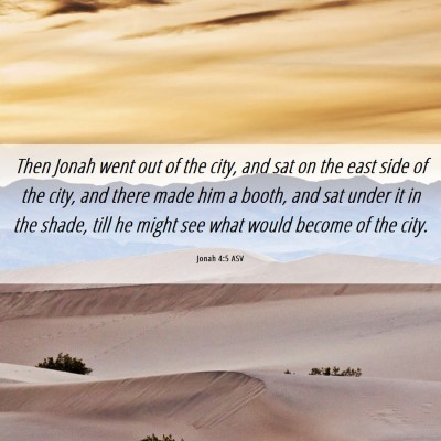 Picture 06 - Jonah 4:5 ASV - Then Jonah went out of the city, and sat on the - Bible Verse Picture