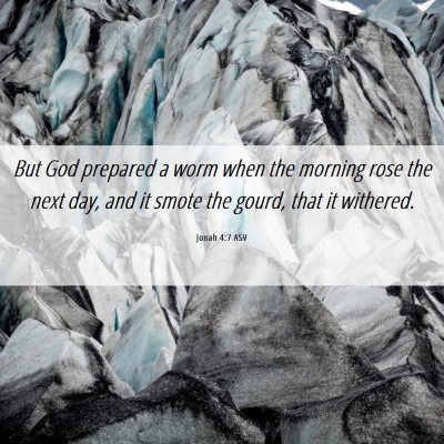 Picture 06 - Jonah 4:7 ASV - But God prepared a worm when the morning rose the - Bible Verse Picture