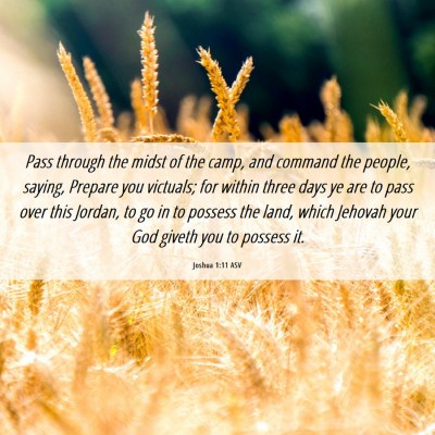 Picture 06 - Joshua 1:11 ASV - Pass through the midst of the camp, and command - Bible Verse Picture