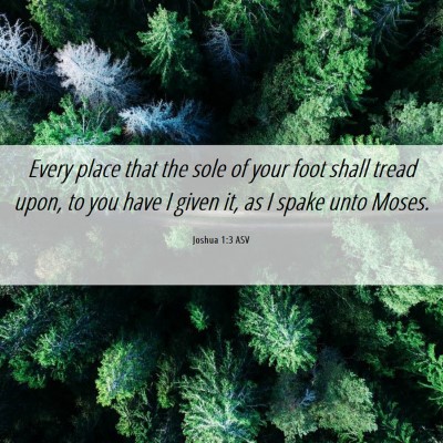 Picture 06 - Joshua 1:3 ASV - Every place that the sole of your foot shall - Bible Verse Picture