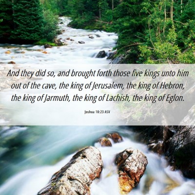 Picture 06 - Joshua 10:23 ASV - And they did so, and brought forth those five - Bible Verse Picture