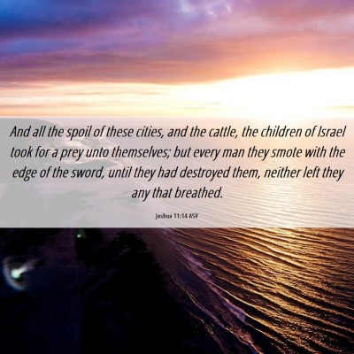 Picture 06 - Joshua 11:14 ASV - And all the spoil of these cities, and the - Bible Verse Picture