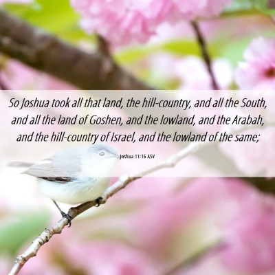 Picture 06 - Joshua 11:16 ASV - So Joshua took all that land, the hill-country, - Bible Verse Picture