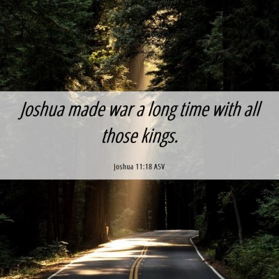 Picture 06 - Joshua 11:18 ASV - Joshua made war a long time with all those - Bible Verse Picture