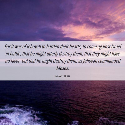 Picture 06 - Joshua 11:20 ASV - For it was of Jehovah to harden their hearts, to - Bible Verse Picture