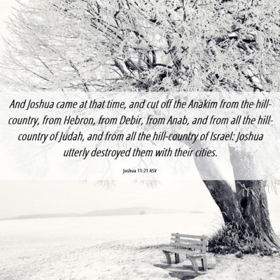 Picture 06 - Joshua 11:21 ASV - And Joshua came at that time, and cut off the - Bible Verse Picture