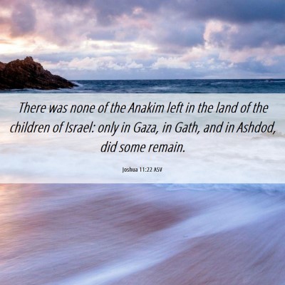Picture 06 - Joshua 11:22 ASV - There was none of the Anakim left in the land of - Bible Verse Picture