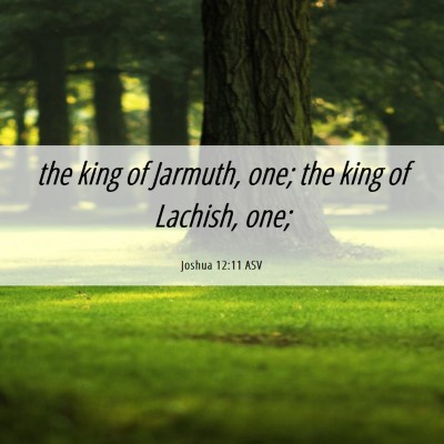 Picture 06 - Joshua 12:11 ASV - the king of Jarmuth, one; the king of Lachish, - Bible Verse Picture