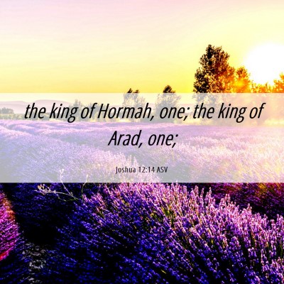 Picture 06 - Joshua 12:14 ASV - the king of Hormah, one; the king of Arad, - Bible Verse Picture