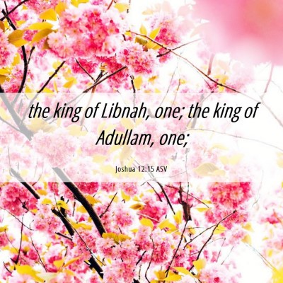 Picture 06 - Joshua 12:15 ASV - the king of Libnah, one; the king of Adullam, - Bible Verse Picture