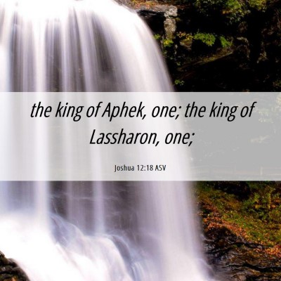 Picture 06 - Joshua 12:18 ASV - the king of Aphek, one; the king of Lassharon, - Bible Verse Picture