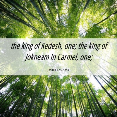 Picture 06 - Joshua 12:22 ASV - the king of Kedesh, one; the king of Jokneam in - Bible Verse Picture