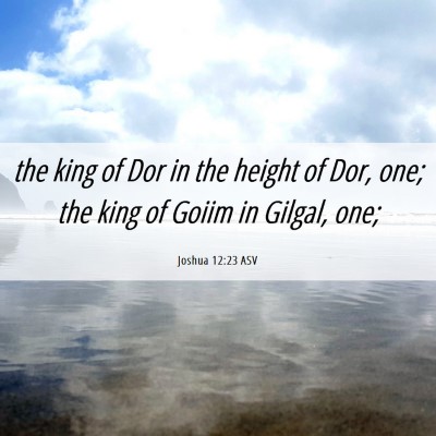 Picture 06 - Joshua 12:23 ASV - the king of Dor in the height of Dor, one; the - Bible Verse Picture