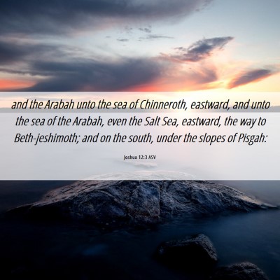 Picture 06 - Joshua 12:3 ASV - and the Arabah unto the sea of Chinneroth, - Bible Verse Picture