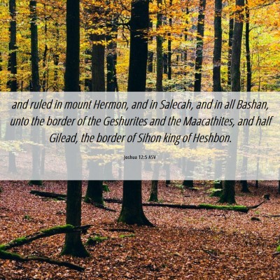 Picture 06 - Joshua 12:5 ASV - and ruled in mount Hermon, and in Salecah, and in - Bible Verse Picture