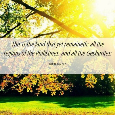 Picture 06 - Joshua 13:2 ASV - This is the land that yet remaineth: all the - Bible Verse Picture