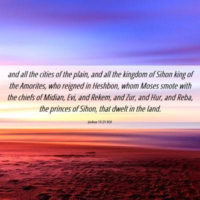 Picture 06 - Joshua 13:21 ASV - and all the cities of the plain, and all the - Bible Verse Picture