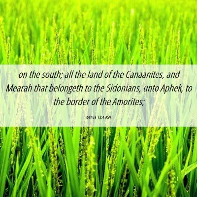 Picture 06 - Joshua 13:4 ASV - on the south; all the land of the Canaanites, and - Bible Verse Picture