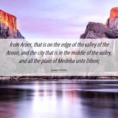 Picture 06 - Joshua 13:9 ASV - from Aroer, that is on the edge of the valley of - Bible Verse Picture